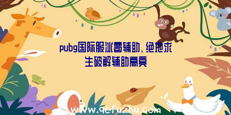 pubg国际服冰雹辅助、绝地求生破解辅助高亮