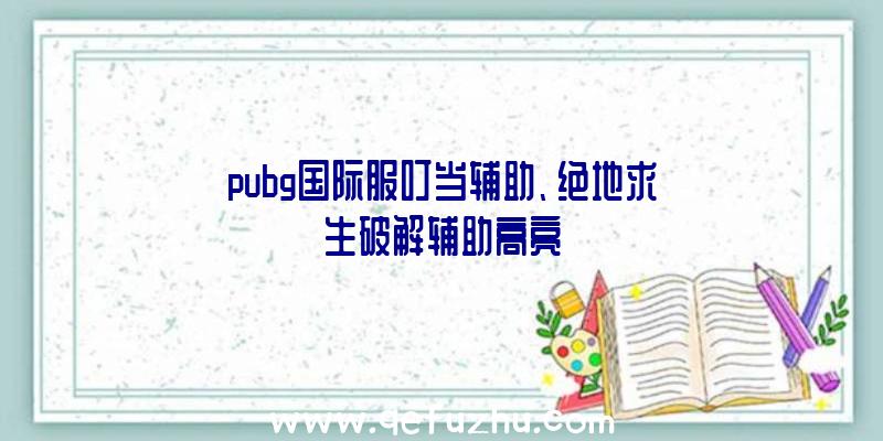 pubg国际服叮当辅助、绝地求生破解辅助高亮