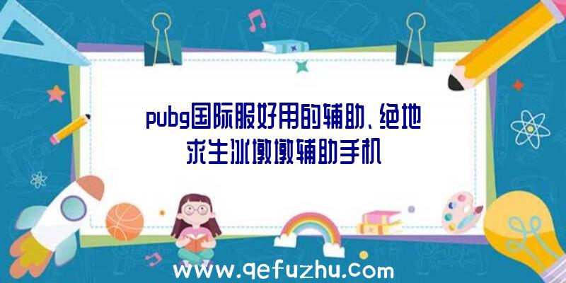 pubg国际服好用的辅助、绝地求生冰墩墩辅助手机