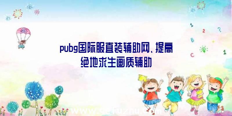 pubg国际服直装辅助网、提高绝地求生画质辅助