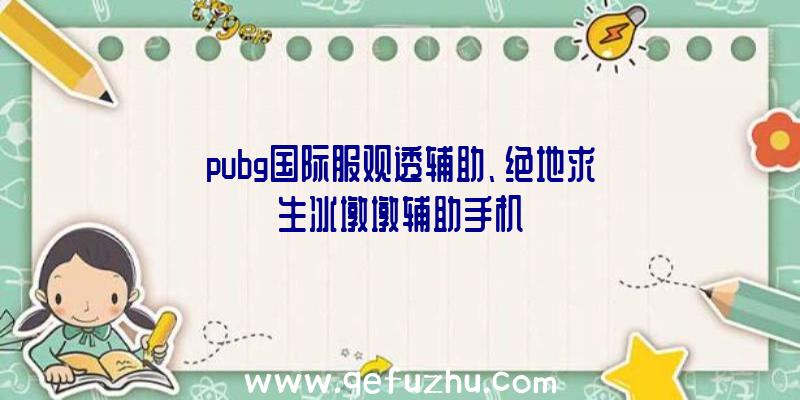 pubg国际服观透辅助、绝地求生冰墩墩辅助手机