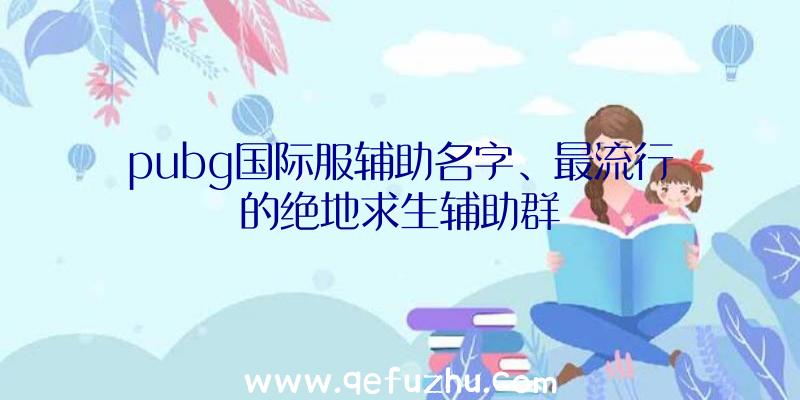 pubg国际服辅助名字、最流行的绝地求生辅助群