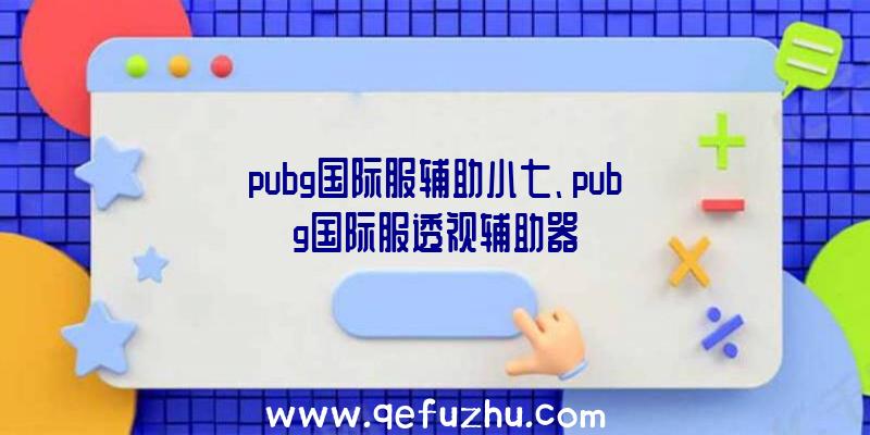 pubg国际服辅助小七、pubg国际服透视辅助器