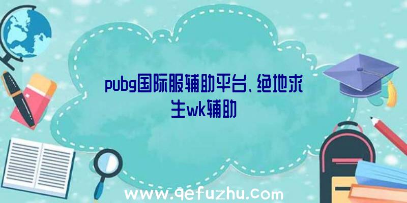 pubg国际服辅助平台、绝地求生wk辅助