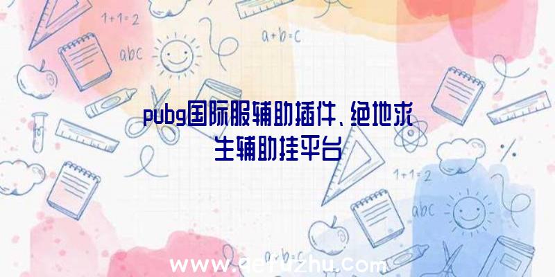 pubg国际服辅助插件、绝地求生辅助挂平台