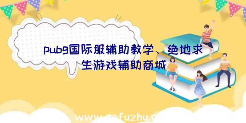 pubg国际服辅助教学、绝地求生游戏辅助商城