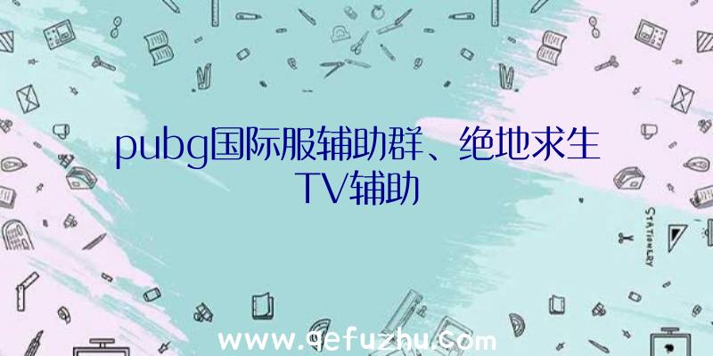 pubg国际服辅助群、绝地求生TV辅助