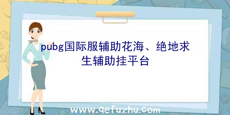 pubg国际服辅助花海、绝地求生辅助挂平台