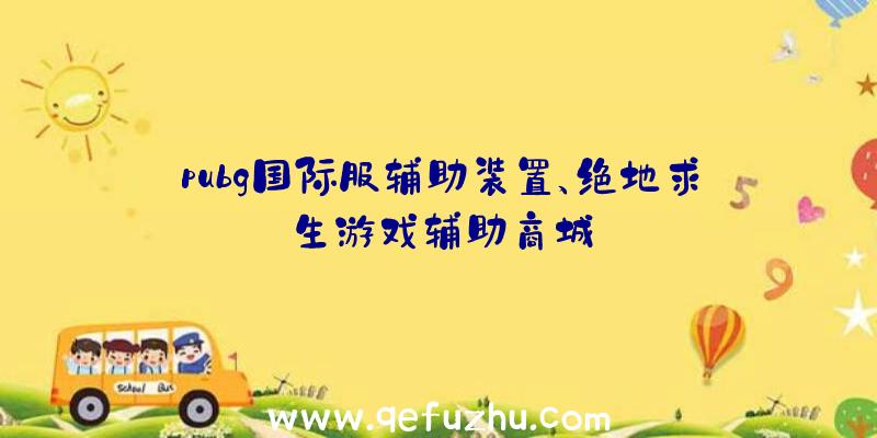 pubg国际服辅助装置、绝地求生游戏辅助商城