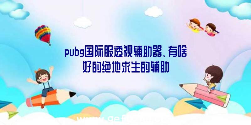 pubg国际服透视辅助器、有啥好的绝地求生的辅助