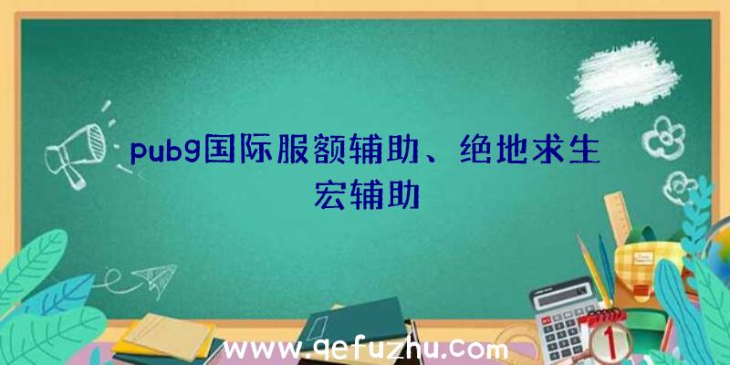 pubg国际服额辅助、绝地求生宏辅助