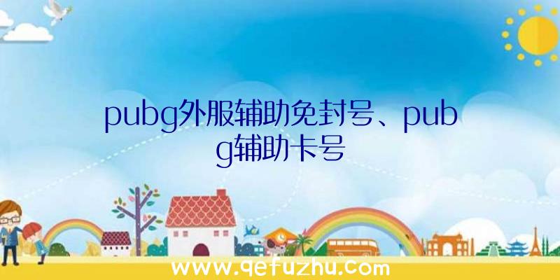 pubg外服辅助免封号、pubg辅助卡号