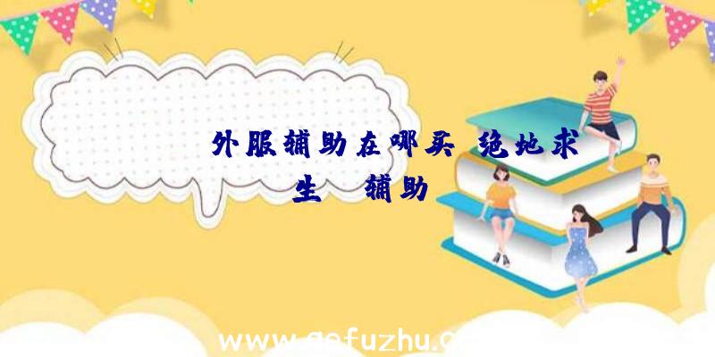 pubg外服辅助在哪买、绝地求生wk辅助