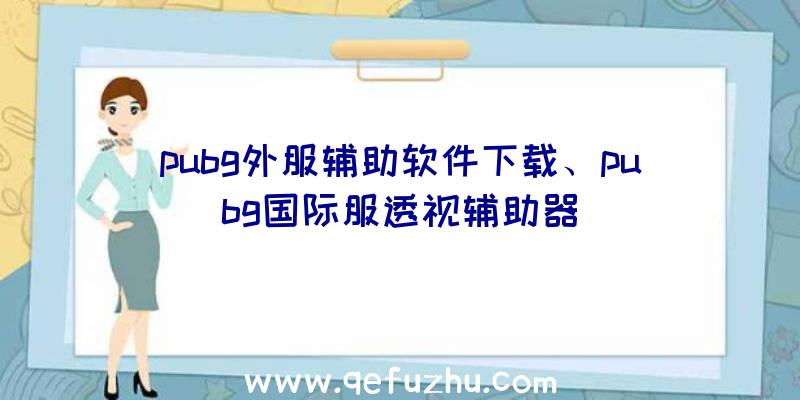 pubg外服辅助软件下载、pubg国际服透视辅助器