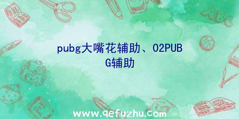 pubg大嘴花辅助、02PUBG辅助