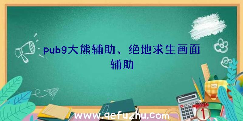 pubg大熊辅助、绝地求生画面辅助