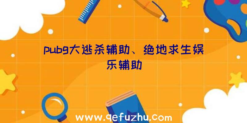 pubg大逃杀辅助、绝地求生娱乐辅助