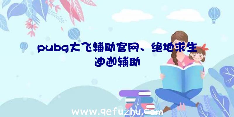 pubg大飞辅助官网、绝地求生迪迦辅助