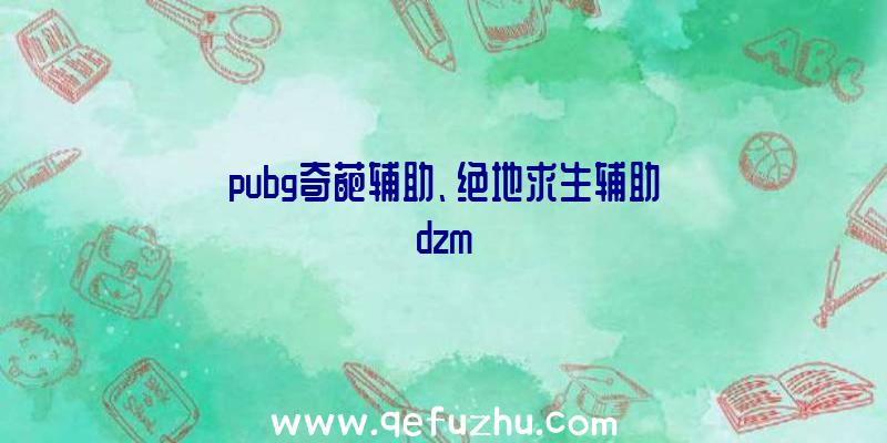 pubg奇葩辅助、绝地求生辅助dzm