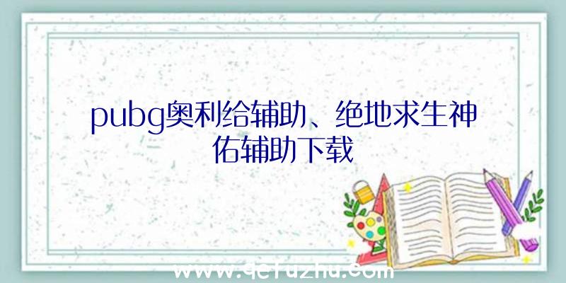 pubg奥利给辅助、绝地求生神佑辅助下载