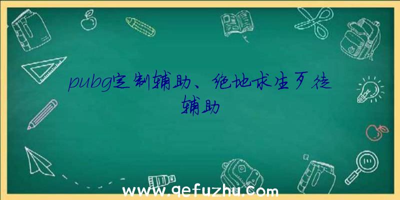 pubg定制辅助、绝地求生歹徒辅助