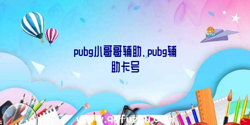 pubg小哥哥辅助、pubg辅助卡号