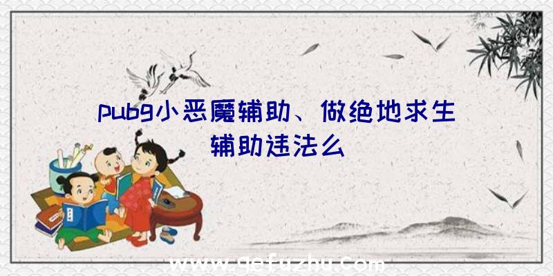 pubg小恶魔辅助、做绝地求生辅助违法么