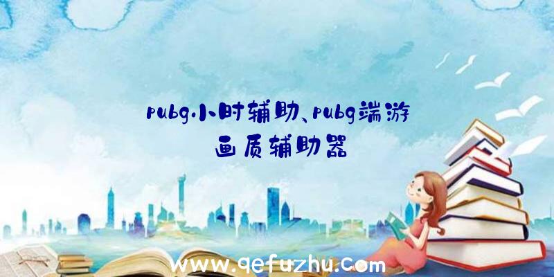 pubg小时辅助、pubg端游画质辅助器