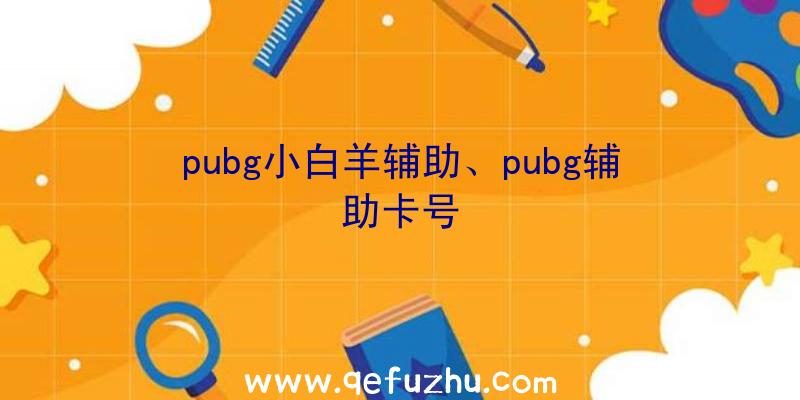 pubg小白羊辅助、pubg辅助卡号