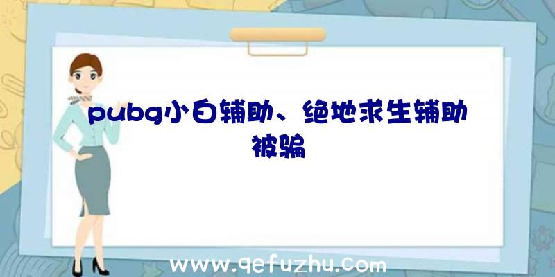 pubg小白辅助、绝地求生辅助被骗