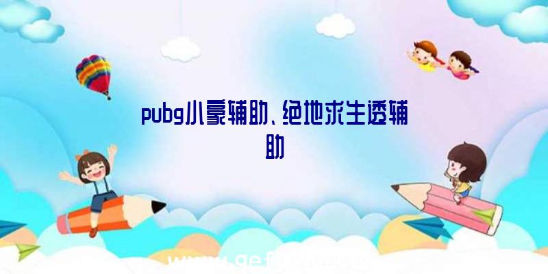 pubg小豪辅助、绝地求生透辅助