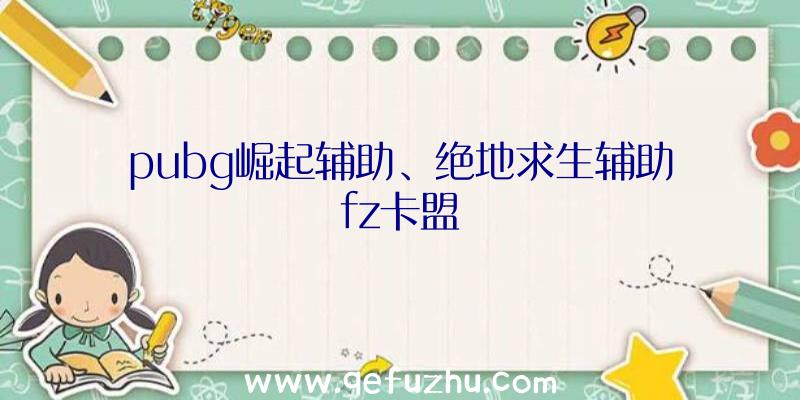 pubg崛起辅助、绝地求生辅助fz卡盟