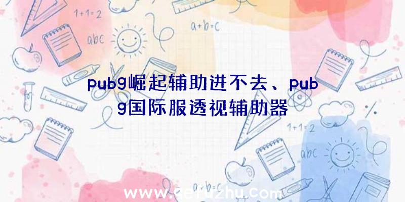 pubg崛起辅助进不去、pubg国际服透视辅助器