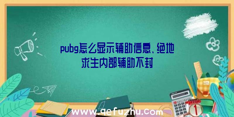 pubg怎么显示辅助信息、绝地求生内部辅助不封