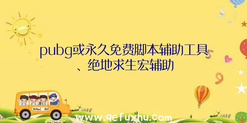 pubg或永久免费脚本辅助工具、绝地求生宏辅助