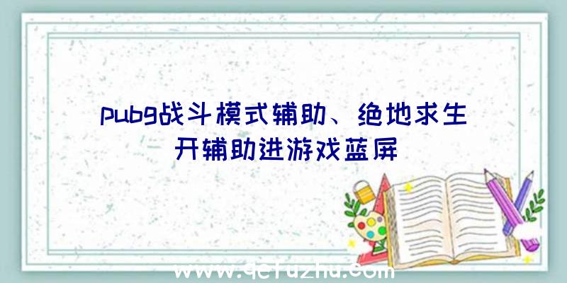 pubg战斗模式辅助、绝地求生开辅助进游戏蓝屏