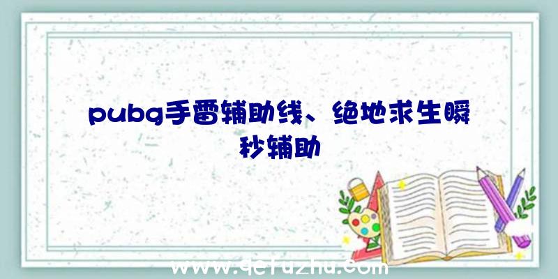 pubg手雷辅助线、绝地求生瞬秒辅助