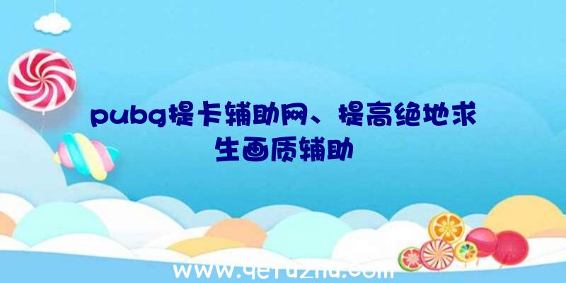 pubg提卡辅助网、提高绝地求生画质辅助