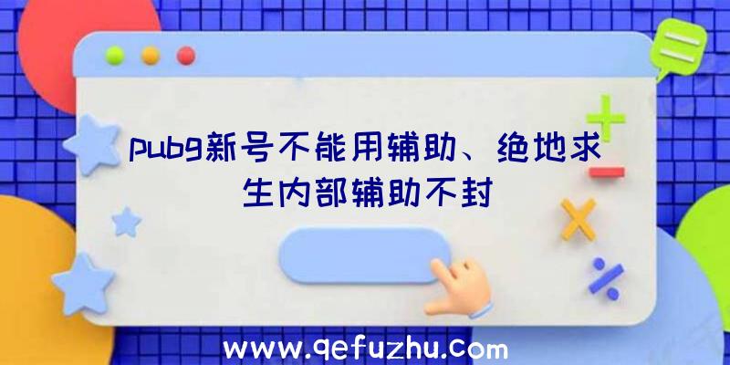 pubg新号不能用辅助、绝地求生内部辅助不封