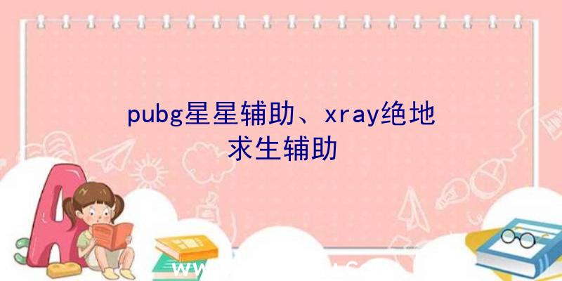 pubg星星辅助、xray绝地求生辅助