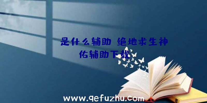 pubg是什么辅助、绝地求生神佑辅助下载