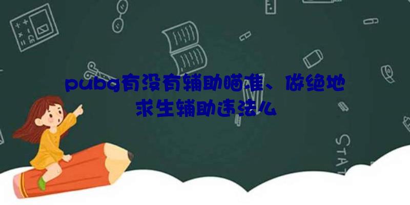 pubg有没有辅助瞄准、做绝地求生辅助违法么