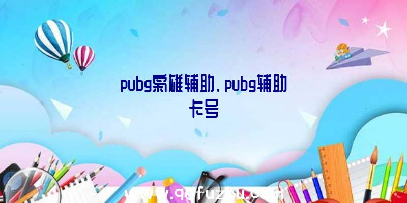 pubg枭雄辅助、pubg辅助卡号