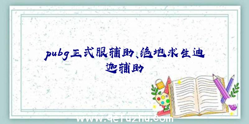 pubg正式服辅助、绝地求生迪迦辅助