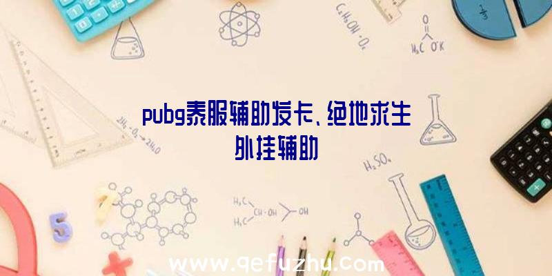 pubg泰服辅助发卡、绝地求生外挂辅助