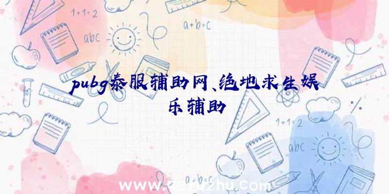 pubg泰服辅助网、绝地求生娱乐辅助