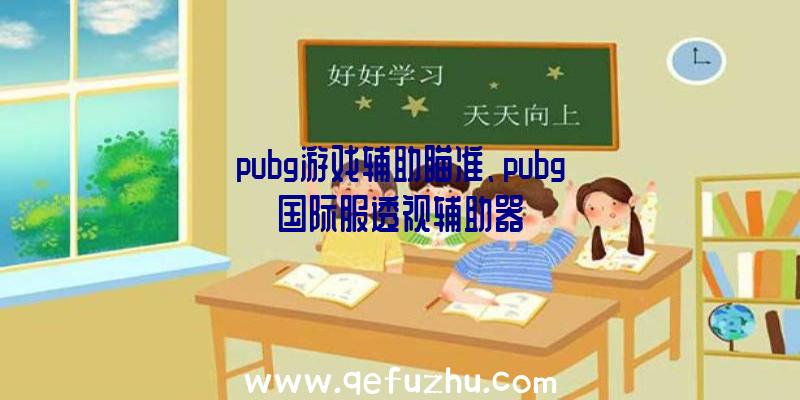 pubg游戏辅助瞄准、pubg国际服透视辅助器