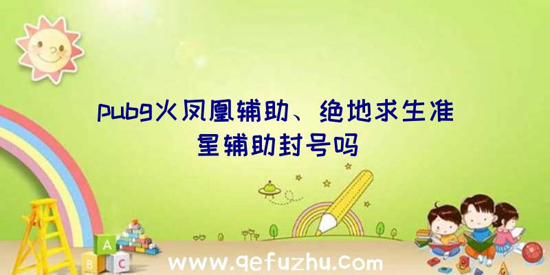 pubg火凤凰辅助、绝地求生准星辅助封号吗