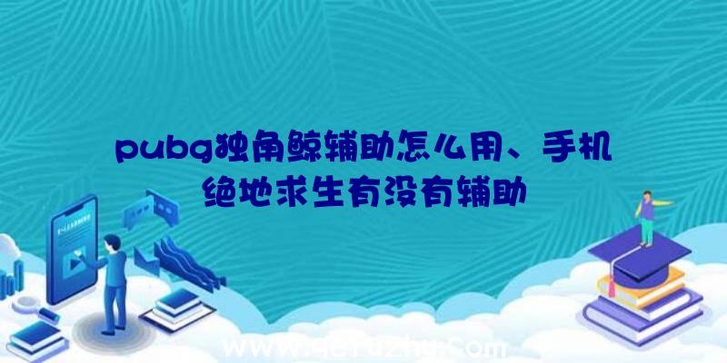 pubg独角鲸辅助怎么用、手机绝地求生有没有辅助