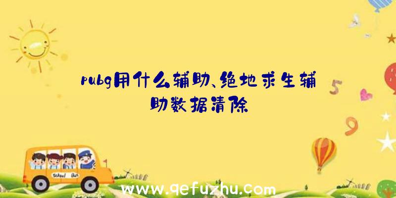 pubg用什么辅助、绝地求生辅助数据清除